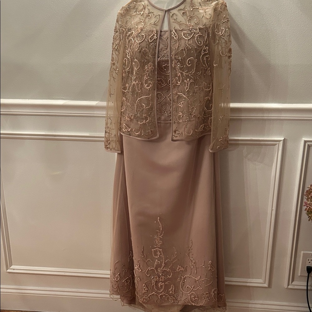 Embroidered Beige Dress with Sheer Overlay